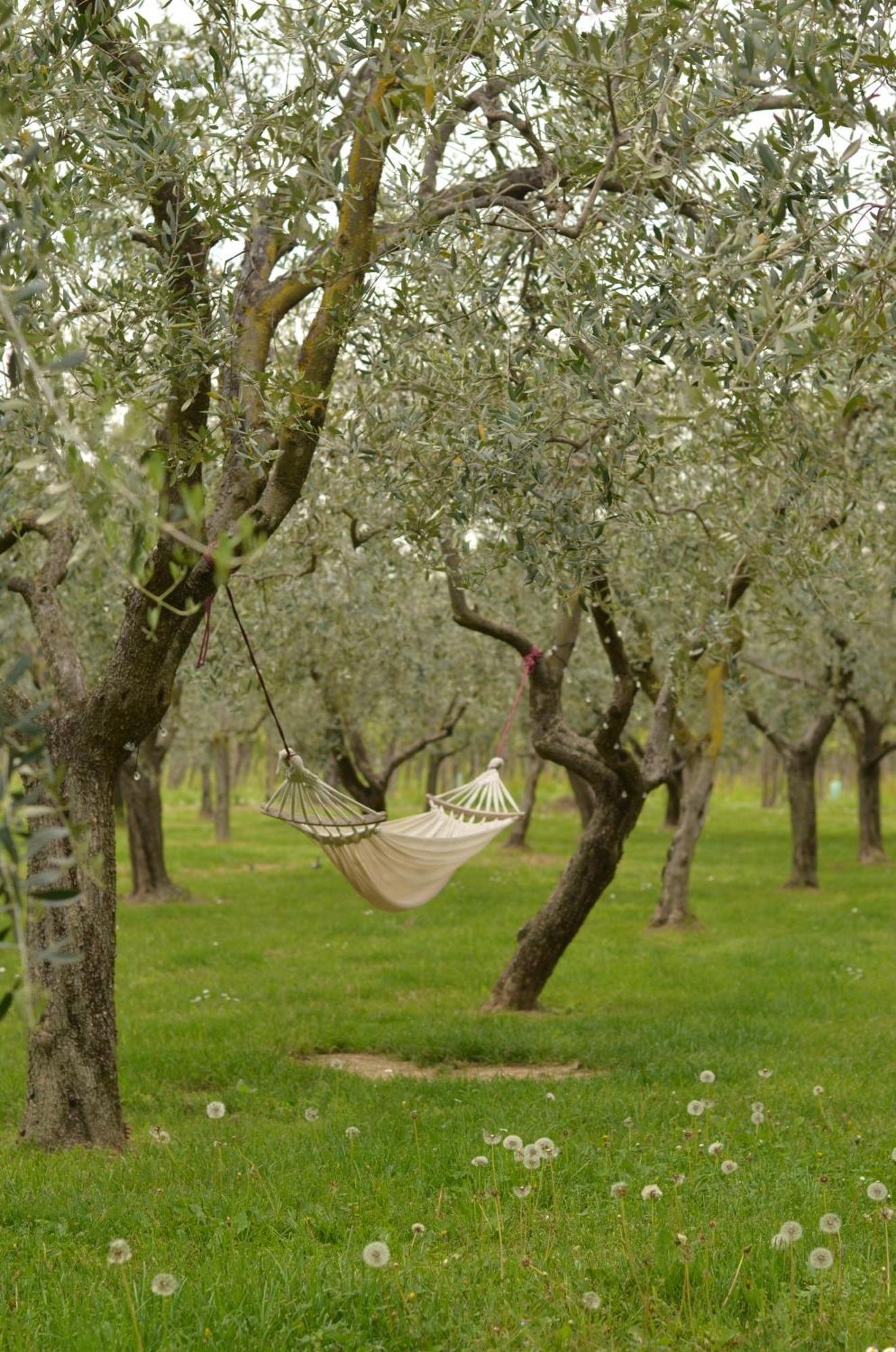B&B La Cipressina Cavaion Veronese Esterno foto